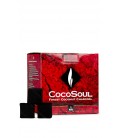 Carvão Natural - Coco Soul C26 1kg
